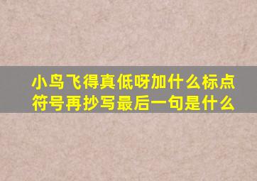 小鸟飞得真低呀加什么标点符号再抄写最后一句是什么