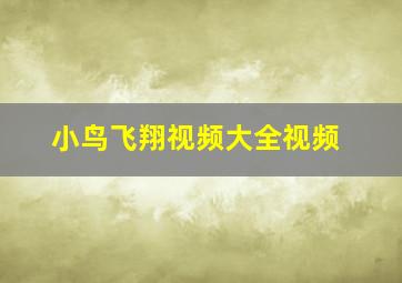 小鸟飞翔视频大全视频