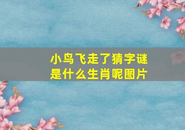 小鸟飞走了猜字谜是什么生肖呢图片