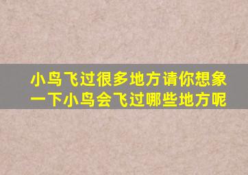 小鸟飞过很多地方请你想象一下小鸟会飞过哪些地方呢