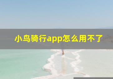 小鸟骑行app怎么用不了