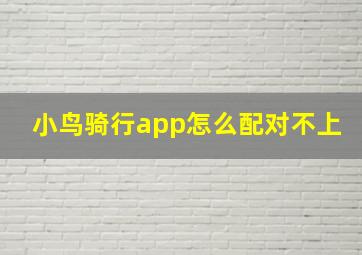 小鸟骑行app怎么配对不上