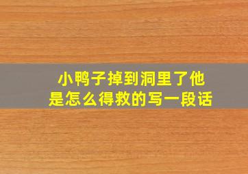 小鸭子掉到洞里了他是怎么得救的写一段话