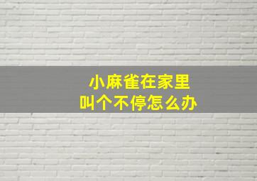 小麻雀在家里叫个不停怎么办