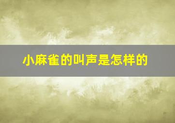 小麻雀的叫声是怎样的