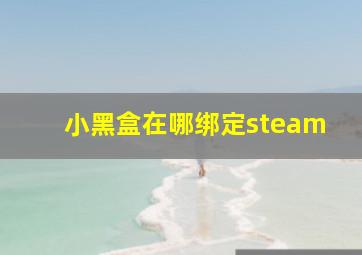 小黑盒在哪绑定steam