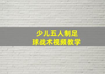 少儿五人制足球战术视频教学