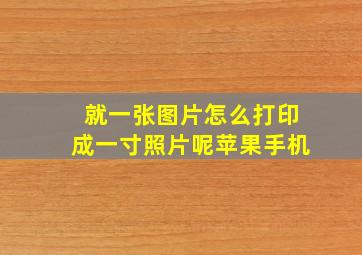 就一张图片怎么打印成一寸照片呢苹果手机