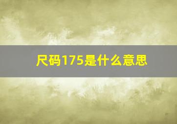 尺码175是什么意思