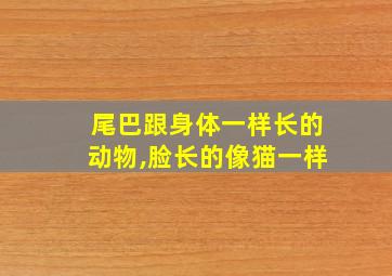 尾巴跟身体一样长的动物,脸长的像猫一样