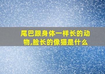 尾巴跟身体一样长的动物,脸长的像猫是什么