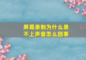 屏幕录制为什么录不上声音怎么回事