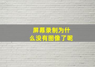 屏幕录制为什么没有图像了呢