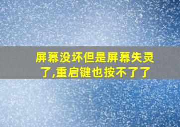 屏幕没坏但是屏幕失灵了,重启键也按不了了