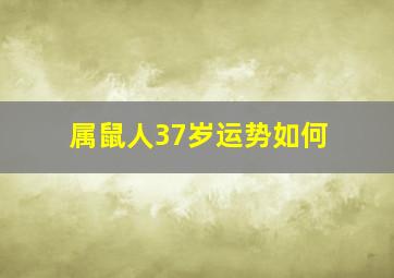 属鼠人37岁运势如何