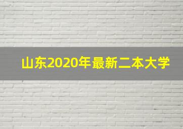 山东2020年最新二本大学