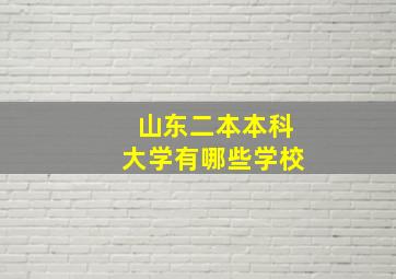 山东二本本科大学有哪些学校