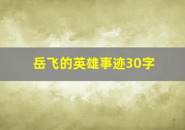 岳飞的英雄事迹30字