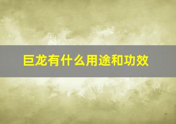 巨龙有什么用途和功效