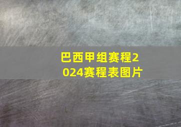 巴西甲组赛程2024赛程表图片