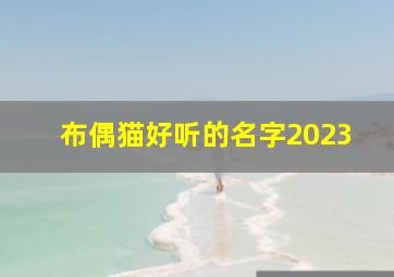 布偶猫好听的名字2023