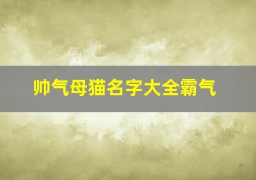 帅气母猫名字大全霸气