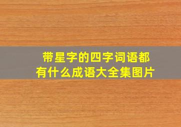 带星字的四字词语都有什么成语大全集图片