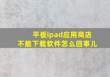 平板ipad应用商店不能下载软件怎么回事儿