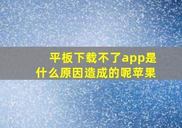 平板下载不了app是什么原因造成的呢苹果