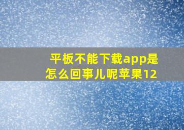 平板不能下载app是怎么回事儿呢苹果12