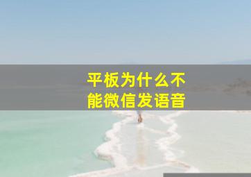 平板为什么不能微信发语音