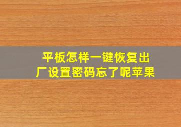 平板怎样一键恢复出厂设置密码忘了呢苹果