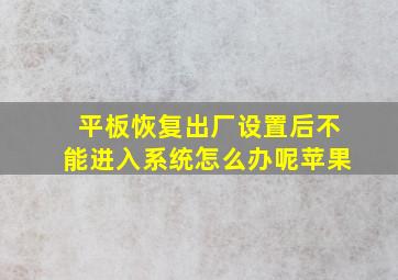 平板恢复出厂设置后不能进入系统怎么办呢苹果