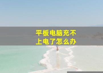 平板电脑充不上电了怎么办