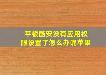 平板酷安没有应用权限设置了怎么办呢苹果