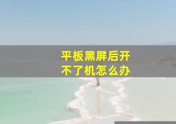 平板黑屏后开不了机怎么办