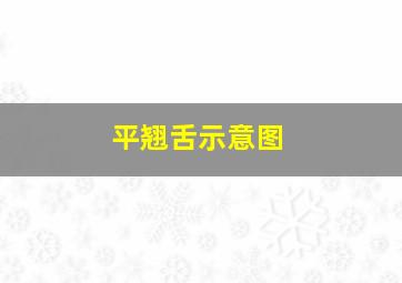 平翘舌示意图