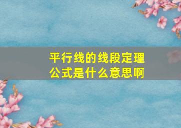 平行线的线段定理公式是什么意思啊