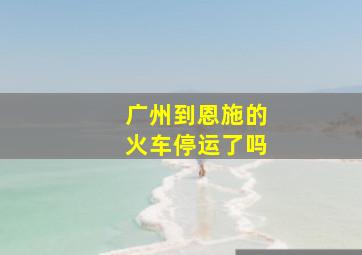 广州到恩施的火车停运了吗