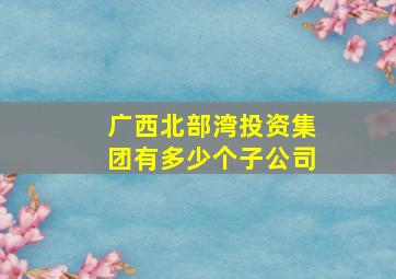 广西北部湾投资集团有多少个子公司