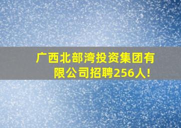 广西北部湾投资集团有限公司招聘256人!