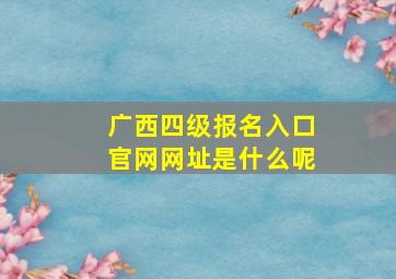 广西四级报名入口官网网址是什么呢