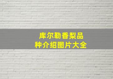 库尔勒香梨品种介绍图片大全