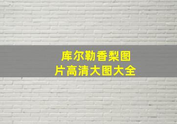 库尔勒香梨图片高清大图大全