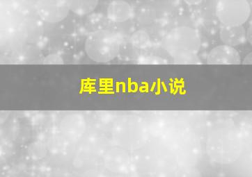 库里nba小说