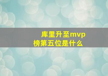 库里升至mvp榜第五位是什么