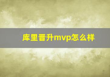 库里晋升mvp怎么样