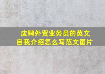 应聘外贸业务员的英文自我介绍怎么写范文图片