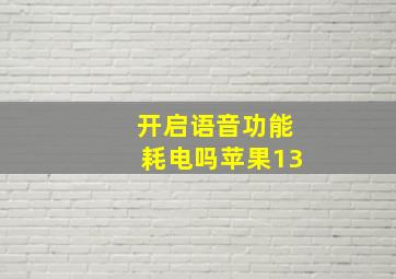 开启语音功能耗电吗苹果13