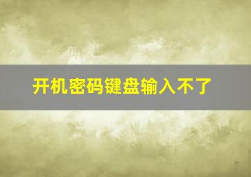 开机密码键盘输入不了